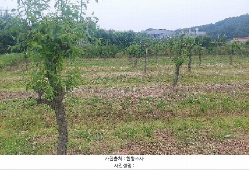 2025타경11802 충청남도 아산시 신인동 20 과수원 경매 이미지