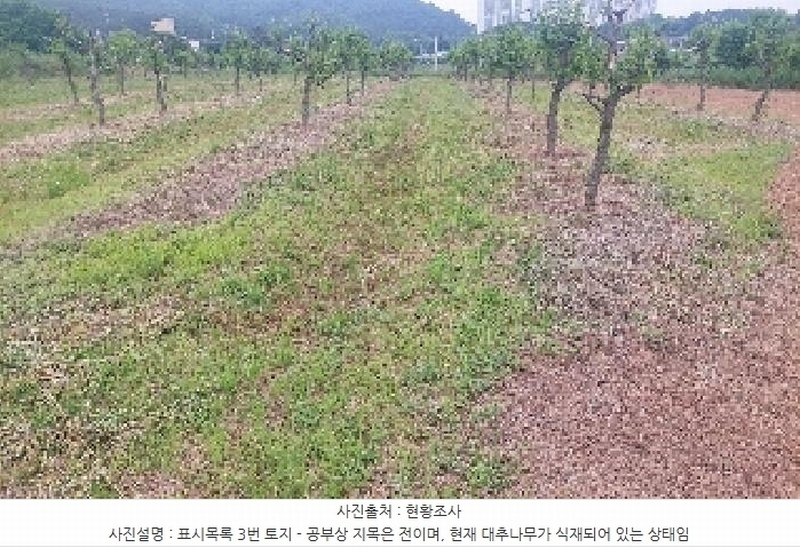 2025타경11802 충청남도 아산시 신인동 20 과수원 경매 이미지