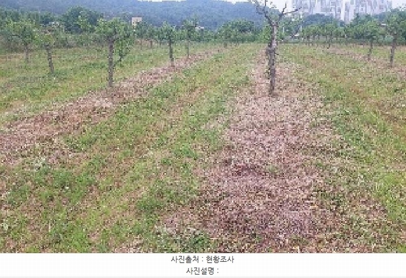 2025타경11802 충청남도 아산시 신인동 20 과수원 경매 이미지