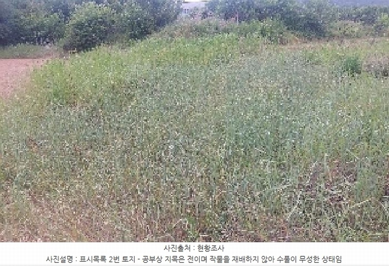 2025타경11802 충청남도 아산시 신인동 20 과수원 경매 이미지
