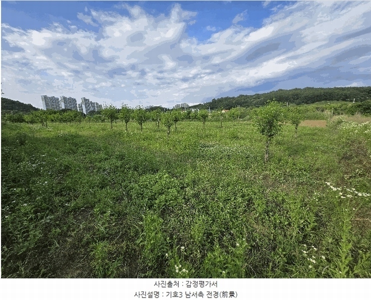 2025타경11802 충청남도 아산시 신인동 20 과수원 경매 이미지