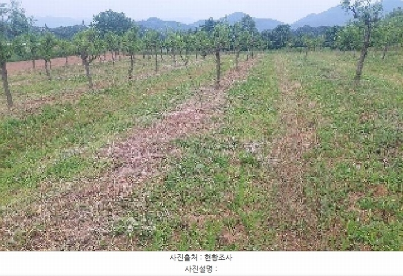 2025타경11802 충청남도 아산시 신인동 20 과수원 경매 이미지