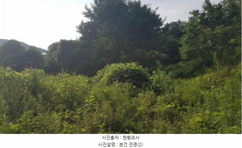 2025타경12017 충청남도 천안시 동남구 광덕면 무학리 319 농지 경매 이미지