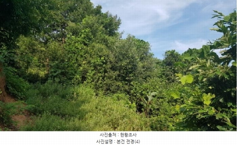 2025타경12017 충청남도 천안시 동남구 광덕면 무학리 319 농지 경매 이미지