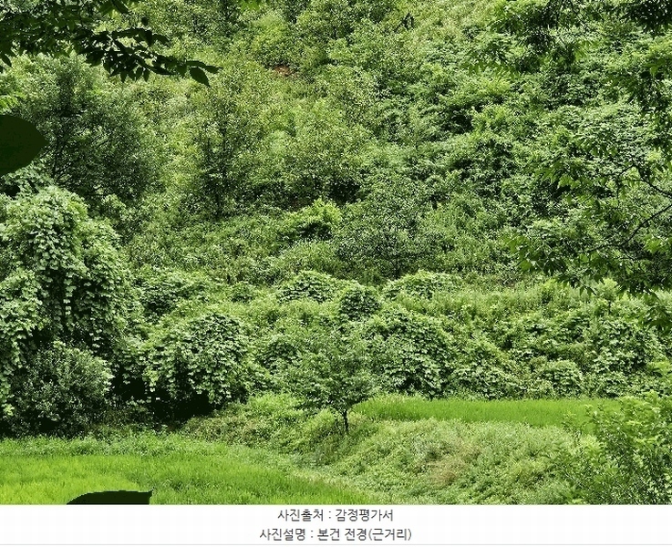 2025타경12017 충청남도 천안시 동남구 광덕면 무학리 319 농지 경매 이미지