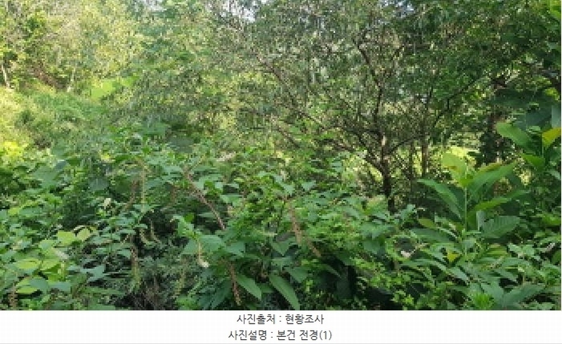 2025타경12017 충청남도 천안시 동남구 광덕면 무학리 319 농지 경매 이미지