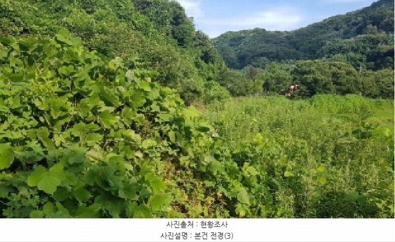 2025타경12017 충청남도 천안시 동남구 광덕면 무학리 319 농지 경매 이미지