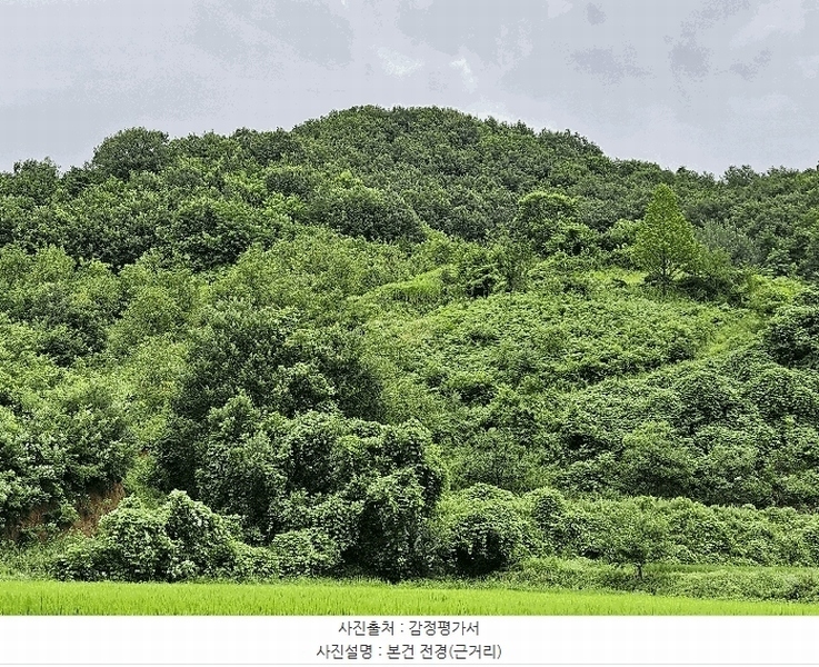 2025타경12017 충청남도 천안시 동남구 광덕면 무학리 319 농지 경매 이미지