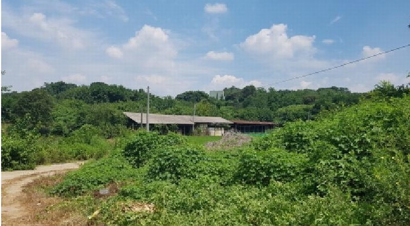 2025타경12106 충청남도 천안시 동남구 수신면 신풍리 143-8 농가관련시설 경매 이미지