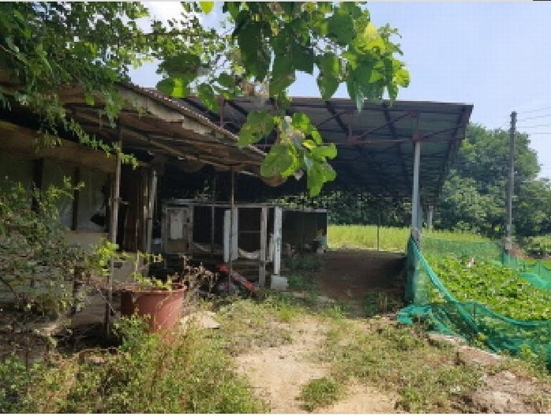 2025타경12106 충청남도 천안시 동남구 수신면 신풍리 143-8 농가관련시설 경매 이미지