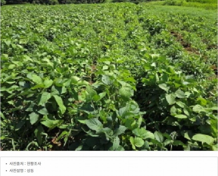 2025타경12127 충청남도 아산시 영인면 창용리 178-1 농지 경매 이미지