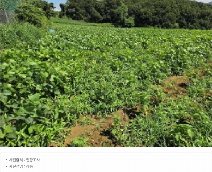 2025타경12127 충청남도 아산시 영인면 창용리 178-1 농지 경매 이미지