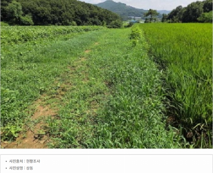 2025타경12127 충청남도 아산시 영인면 창용리 178-1 농지 경매 이미지