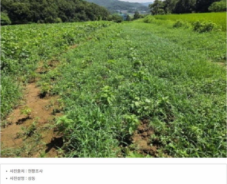 2025타경12127 충청남도 아산시 영인면 창용리 178-1 농지 경매 이미지