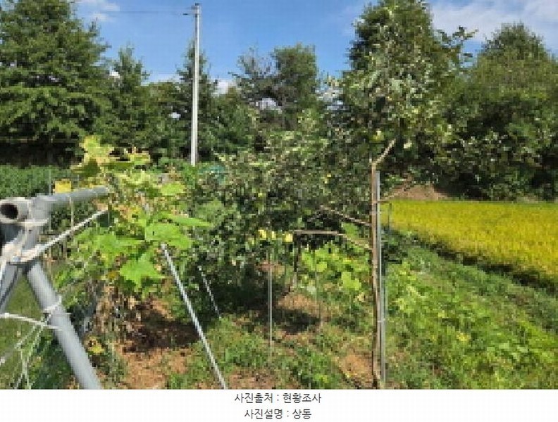 2025타경12255 충청남도 아산시 둔포면 둔포리 174-1 농지 경매 이미지