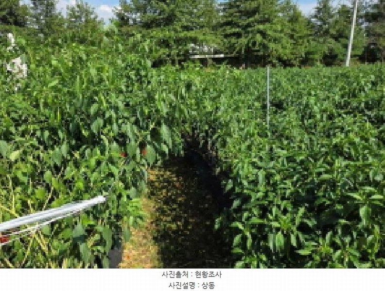 2025타경12255 충청남도 아산시 둔포면 둔포리 174-1 농지 경매 이미지