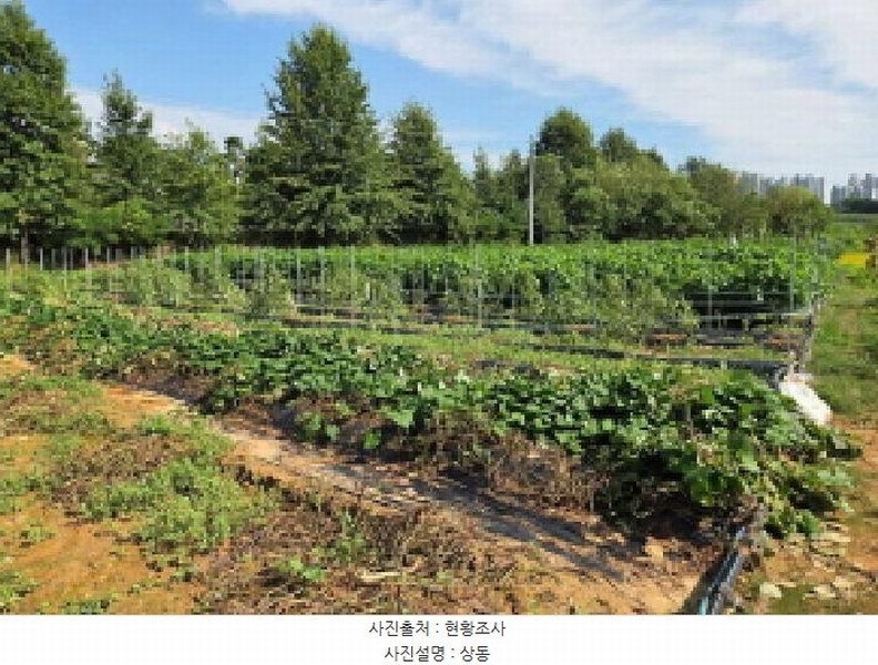 2025타경12255 충청남도 아산시 둔포면 둔포리 174-1 농지 경매 이미지