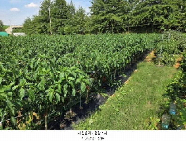 2025타경12255 충청남도 아산시 둔포면 둔포리 174-1 농지 경매 이미지