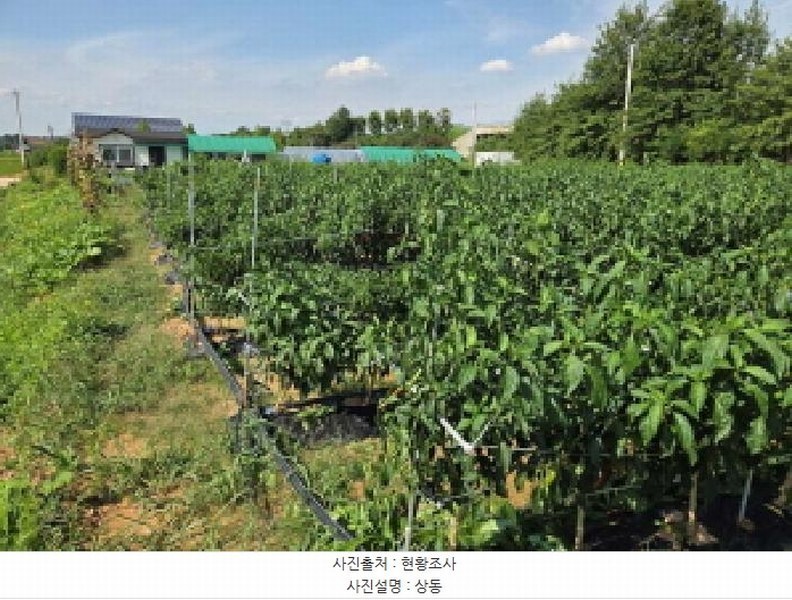 2025타경12255 충청남도 아산시 둔포면 둔포리 174-1 농지 경매 이미지