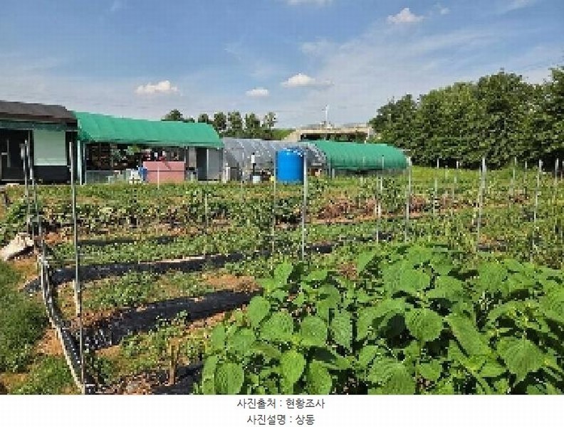 2025타경12255 충청남도 아산시 둔포면 둔포리 174-1 농지 경매 이미지