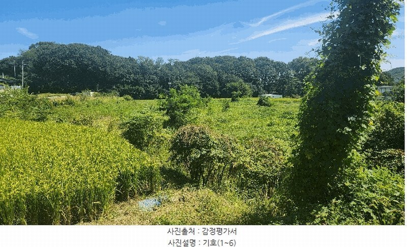 2025타경12353 충청남도 아산시 음봉면 송촌리 19 농지 경매 이미지
