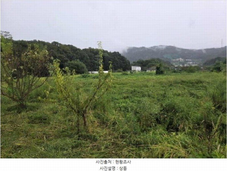 2025타경12353 충청남도 아산시 음봉면 송촌리 19 농지 경매 이미지