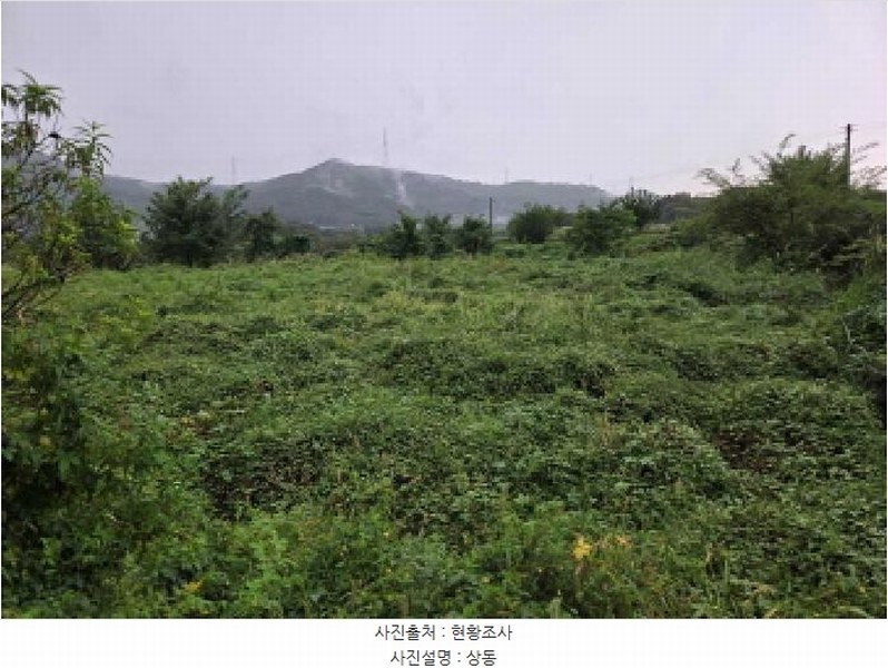 2025타경12353 충청남도 아산시 음봉면 송촌리 19 농지 경매 이미지