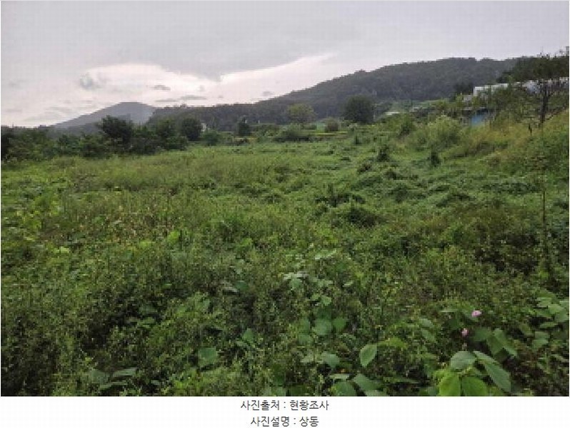 2025타경12353 충청남도 아산시 음봉면 송촌리 19 농지 경매 이미지