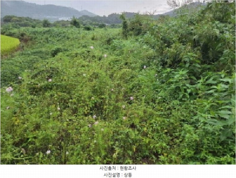2025타경12353 충청남도 아산시 음봉면 송촌리 19 농지 경매 이미지