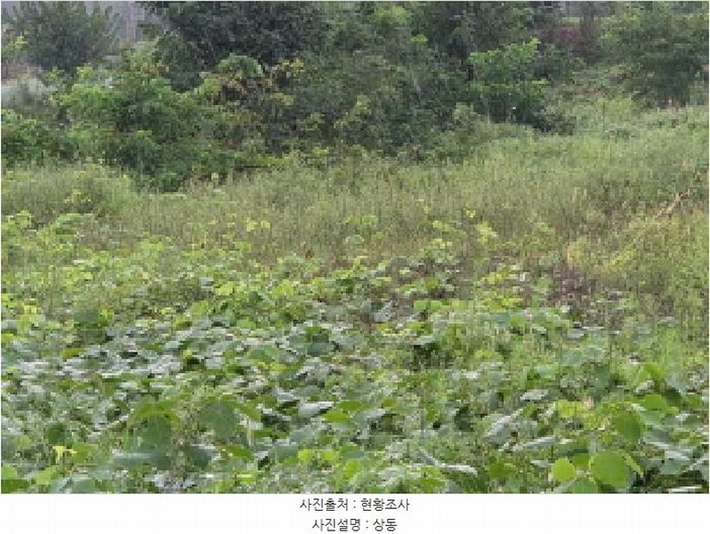 2025타경12353 충청남도 아산시 음봉면 송촌리 19 농지 경매 이미지