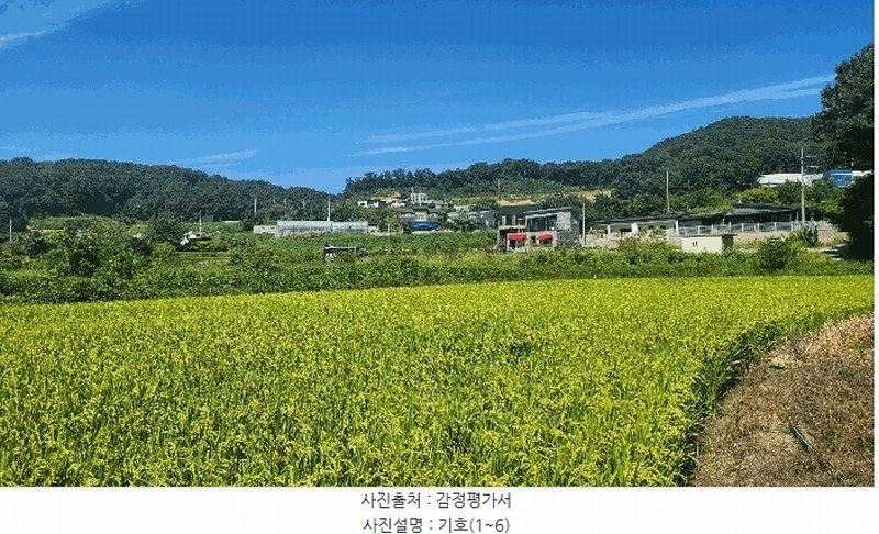 2025타경12353 충청남도 아산시 음봉면 송촌리 19 농지 경매 이미지