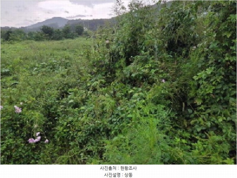2025타경12353 충청남도 아산시 음봉면 송촌리 19 농지 경매 이미지