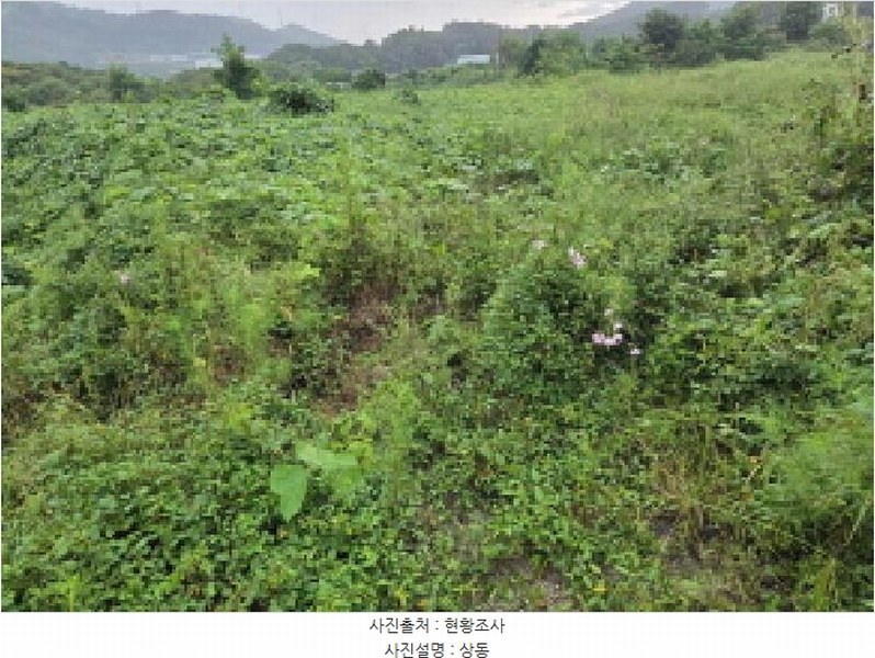 2025타경12353 충청남도 아산시 음봉면 송촌리 19 농지 경매 이미지