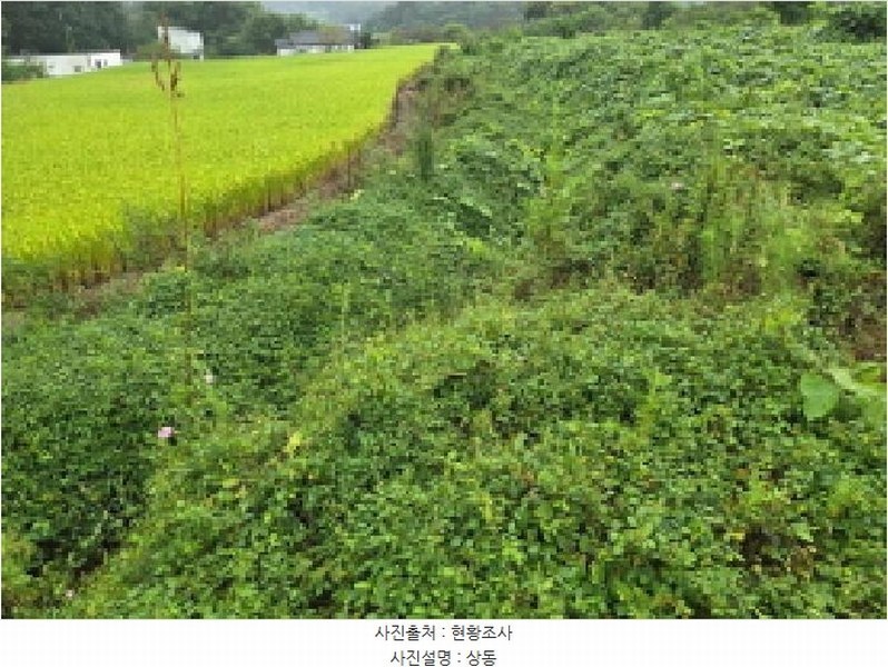 2025타경12353 충청남도 아산시 음봉면 송촌리 19 농지 경매 이미지