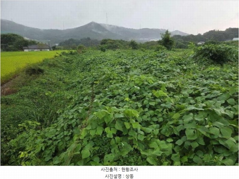 2025타경12353 충청남도 아산시 음봉면 송촌리 19 농지 경매 이미지