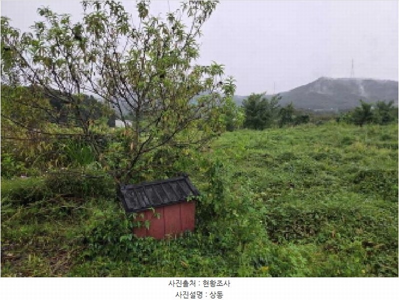 2025타경12353 충청남도 아산시 음봉면 송촌리 19 농지 경매 이미지