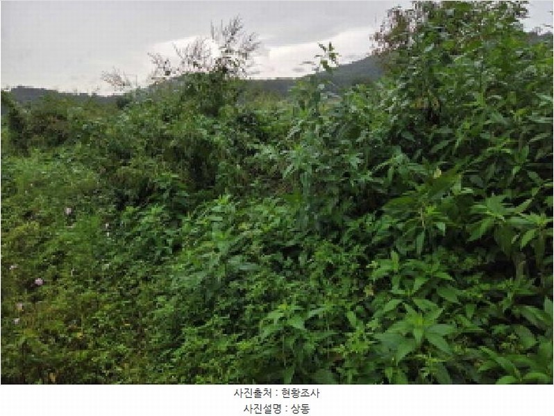 2025타경12353 충청남도 아산시 음봉면 송촌리 19 농지 경매 이미지