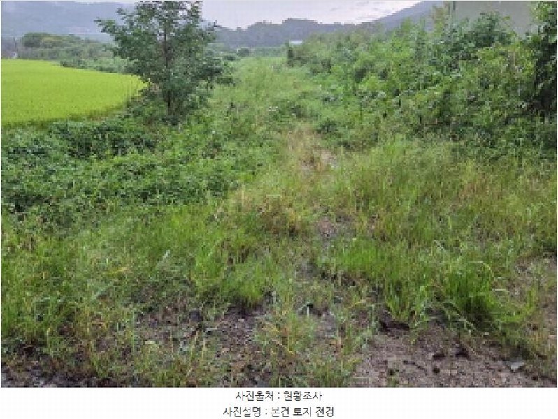 2025타경12353 충청남도 아산시 음봉면 송촌리 19 농지 경매 이미지
