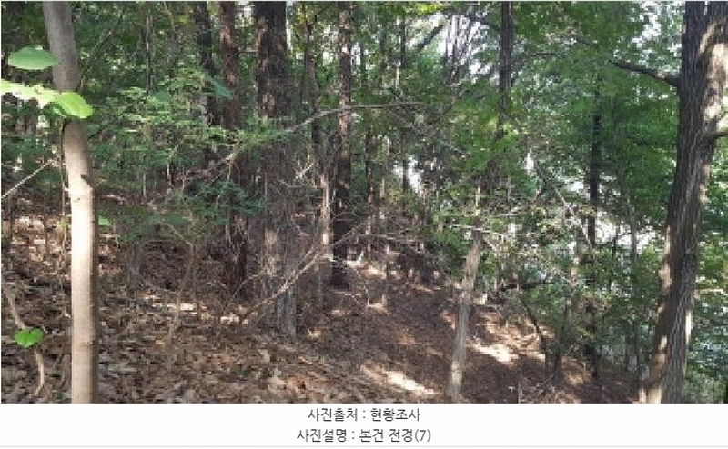 2025타경12447 충청남도 천안시 동남구 목천읍 삼성리 산67-2 임야 경매 이미지