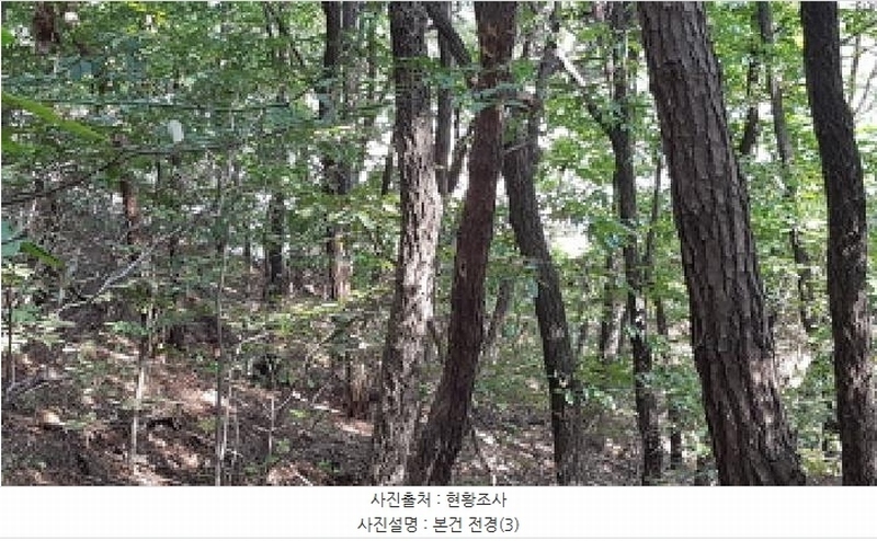2025타경12447 충청남도 천안시 동남구 목천읍 삼성리 산67-2 임야 경매 이미지