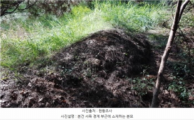 2025타경12447 충청남도 천안시 동남구 목천읍 삼성리 산67-2 임야 경매 이미지