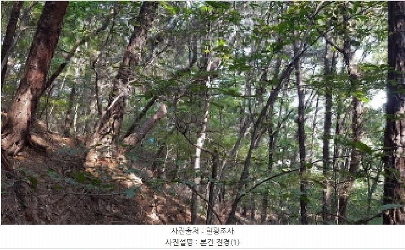 2025타경12447 충청남도 천안시 동남구 목천읍 삼성리 산67-2 임야 경매 이미지