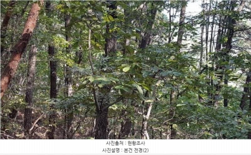 2025타경12447 충청남도 천안시 동남구 목천읍 삼성리 산67-2 임야 경매 이미지