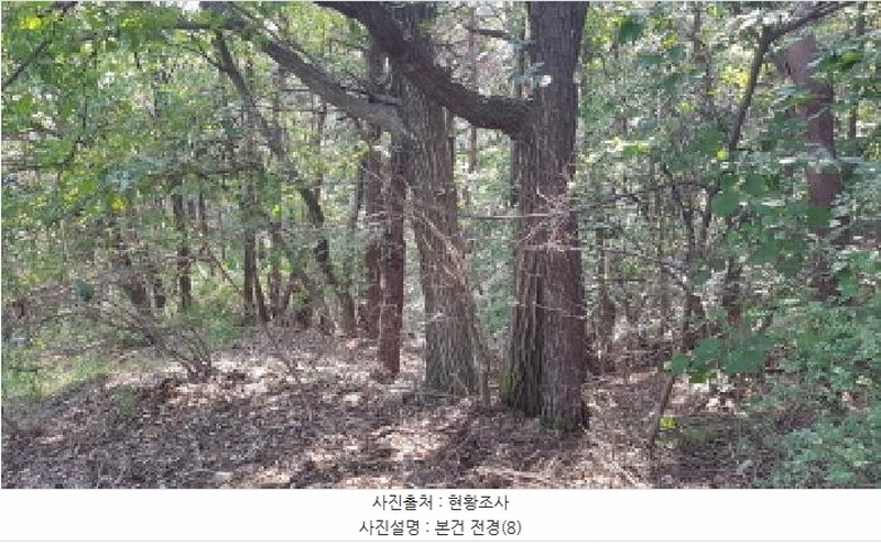 2025타경12447 충청남도 천안시 동남구 목천읍 삼성리 산67-2 임야 경매 이미지