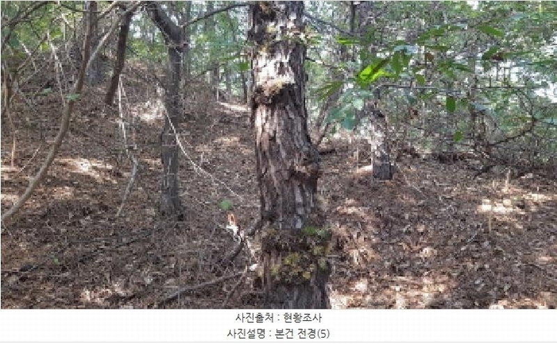 2025타경12447 충청남도 천안시 동남구 목천읍 삼성리 산67-2 임야 경매 이미지