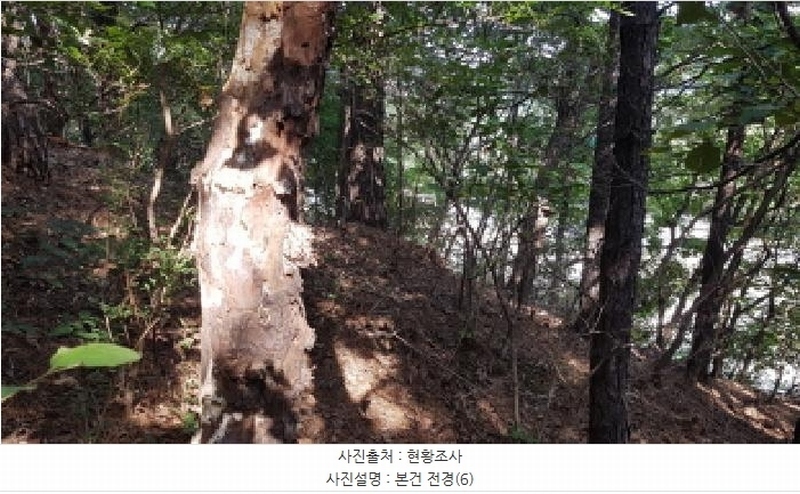 2025타경12447 충청남도 천안시 동남구 목천읍 삼성리 산67-2 임야 경매 이미지
