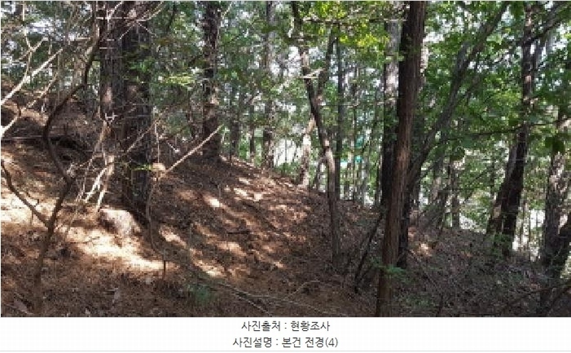 2025타경12447 충청남도 천안시 동남구 목천읍 삼성리 산67-2 임야 경매 이미지