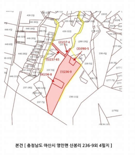 2024타경4796 충청남도 아산시 영인면 신봉리 236-9 임야 경매 이미지