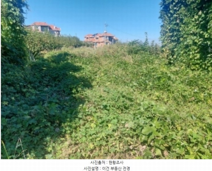 2024타경4796 충청남도 아산시 영인면 신봉리 236-9 임야 경매 이미지