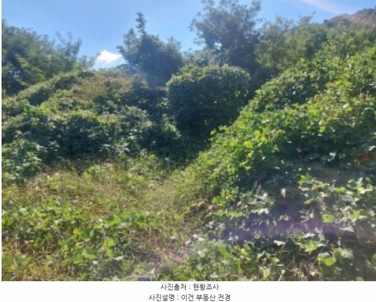 2024타경4796 충청남도 아산시 영인면 신봉리 236-9 임야 경매 이미지